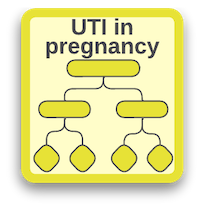 Postpartum Urinary Tract Infections (UTI): What to Know - Healthy Pregnancy